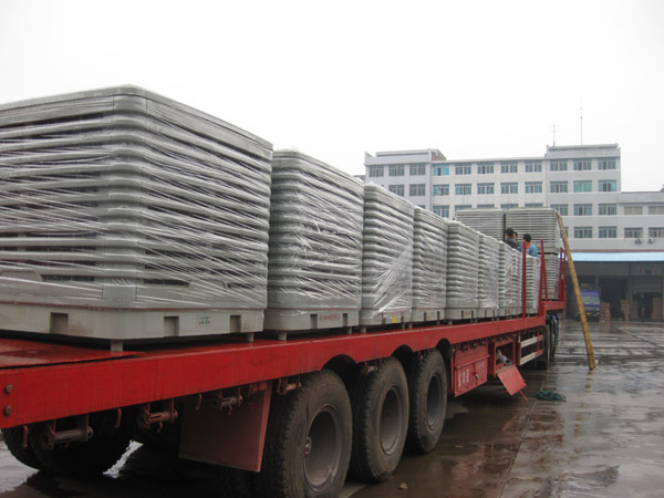 ؓ���L�C�S�Ҍ���չʾ